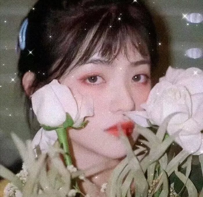 百词莫辩海报