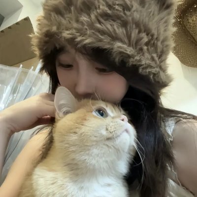 凝视动物的100种方式海报
